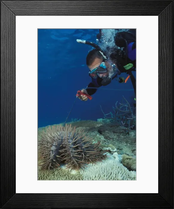 Framed Print : Picture No. 10862354 Framed Print : Picture No. 10862354