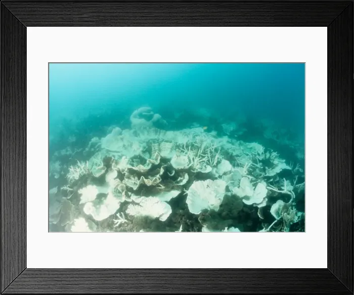 Framed Print : Picture No. 10862505 Framed Print : Picture No. 10862505