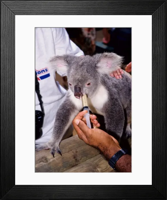 Framed Print : Picture No. 10862561 Framed Print : Picture No. 10862561