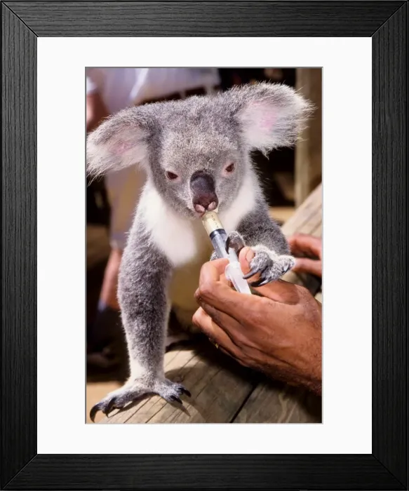Framed Print : Picture No. 10862562