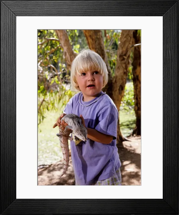 Framed Print : Picture No. 10862564
