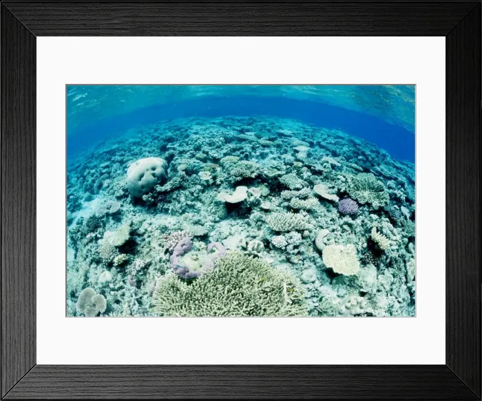Framed Print : Picture No. 10862580 Framed Print : Picture No. 10862580