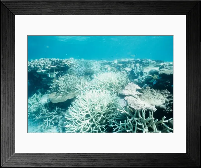 Framed Print : Picture No. 10862582