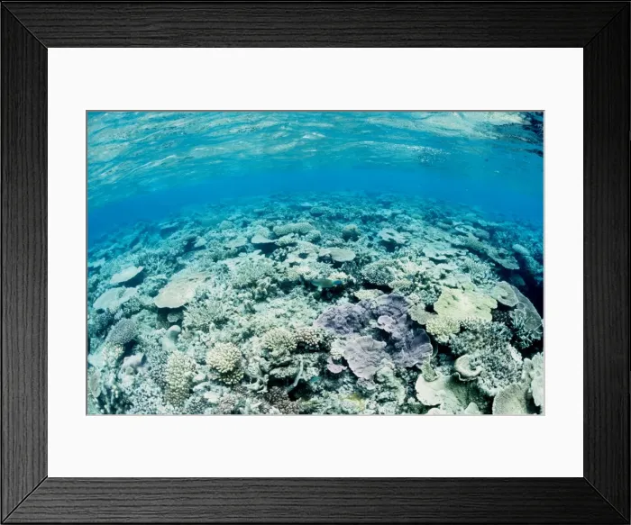 Framed Print : Picture No. 10862581 Framed Print : Picture No. 10862581