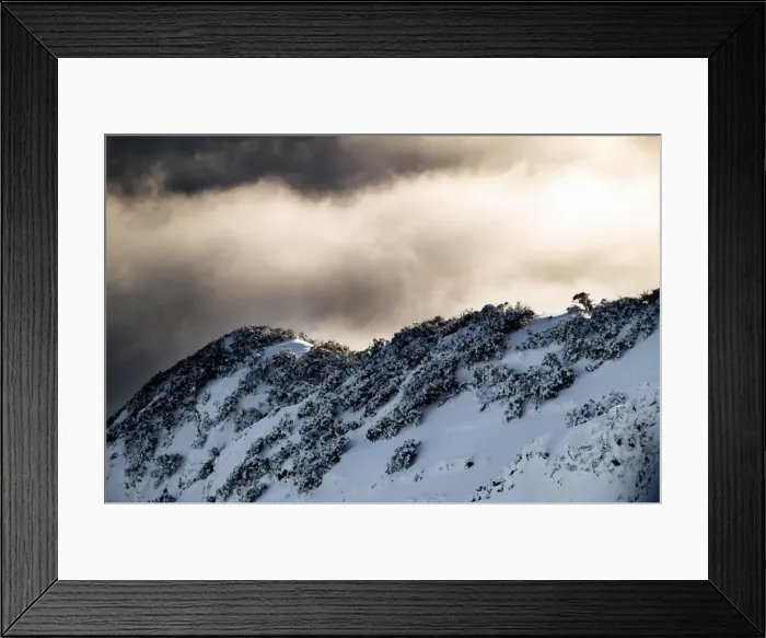 Framed Print : Picture No. 10863151 Framed Print : Picture No. 10863151