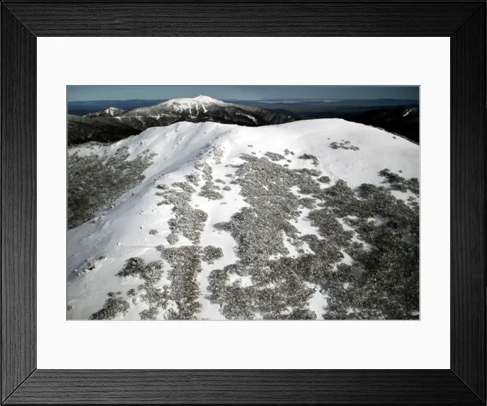 Framed Print : Picture No. 10863172