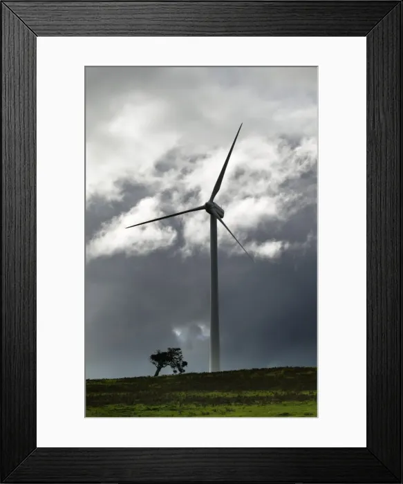 Framed Print : Picture No. 10863304 Framed Print : Picture No. 10863304