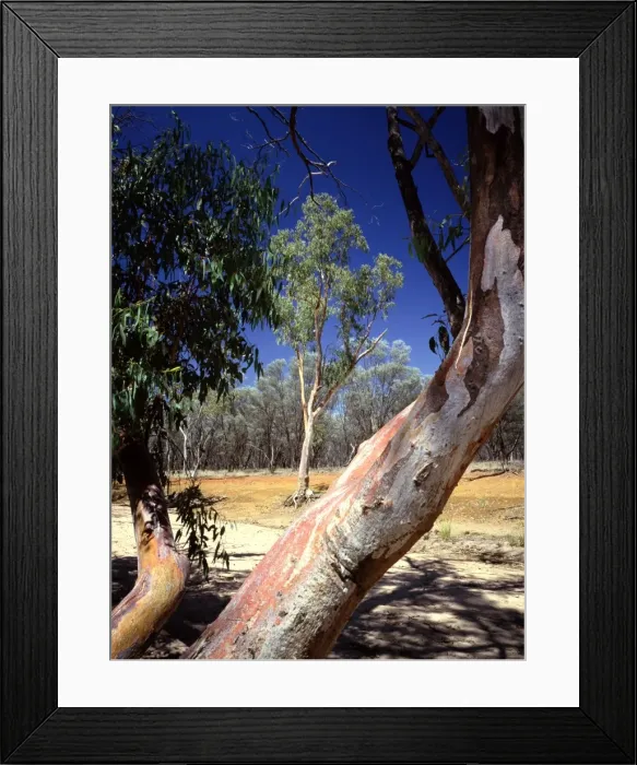 Framed Print : Picture No. 10863319 Framed Print : Picture No. 10863319