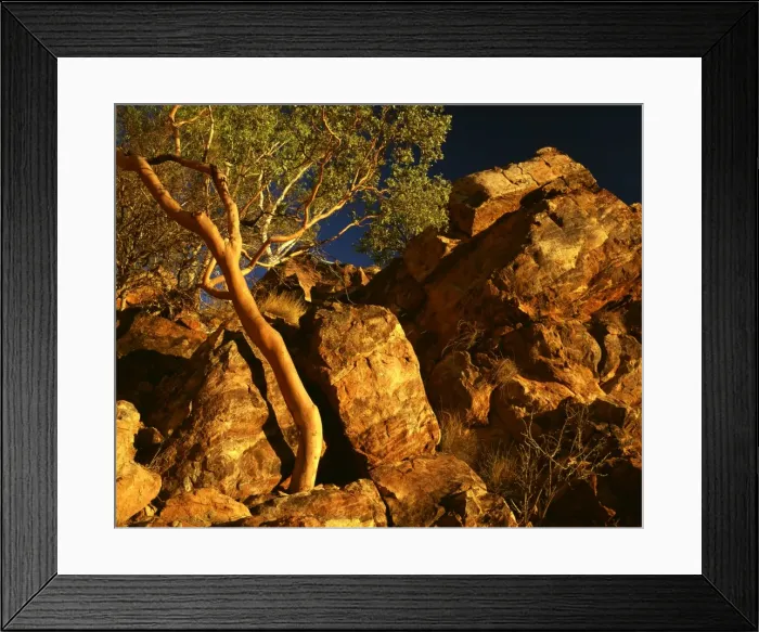 Framed Print : Picture No. 10863328 Framed Print : Picture No. 10863328