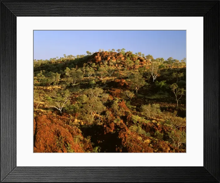 Framed Print : Picture No. 10863329 Framed Print : Picture No. 10863329