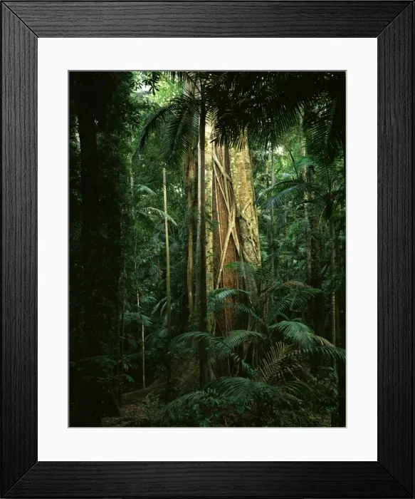 Framed Print : Picture No. 10863325 Framed Print : Picture No. 10863325