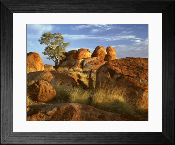 Framed Print : Picture No. 10863356 Framed Print : Picture No. 10863356