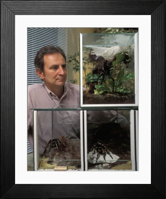 Framed Print : Picture No. 10863502 Framed Print : Picture No. 10863502