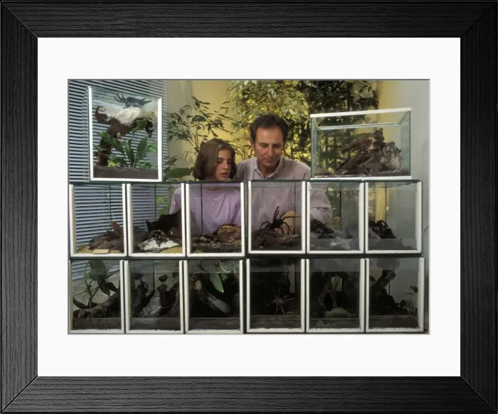 Framed Print : Picture No. 10863503 Framed Print : Picture No. 10863503