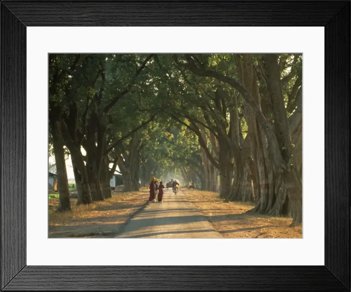 Framed Print : Picture No. 10863511 Framed Print : Picture No. 10863511