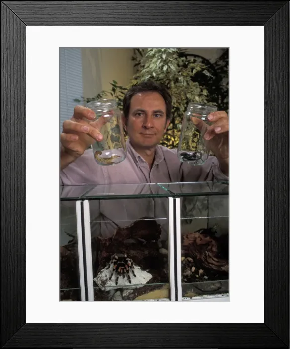 Framed Print : Picture No. 10863504 Framed Print : Picture No. 10863504