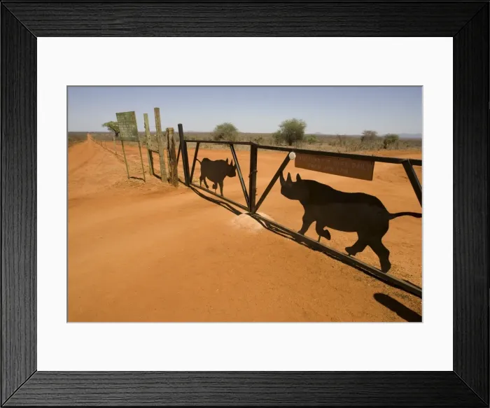 Framed Print : Picture No. 10863607 Framed Print : Picture No. 10863607