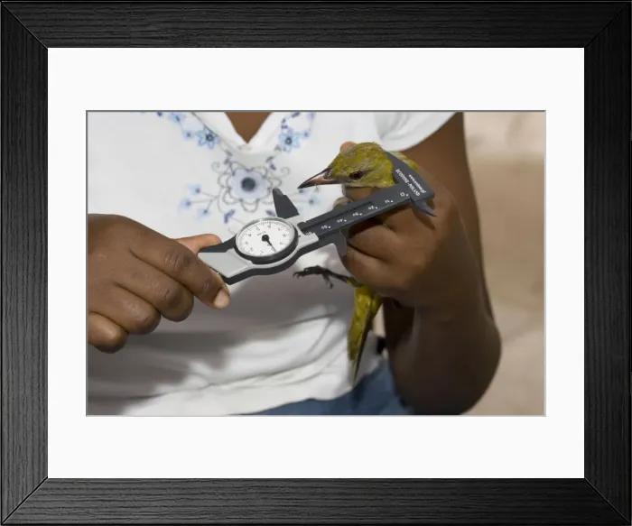 Framed Print : Picture No. 10863624