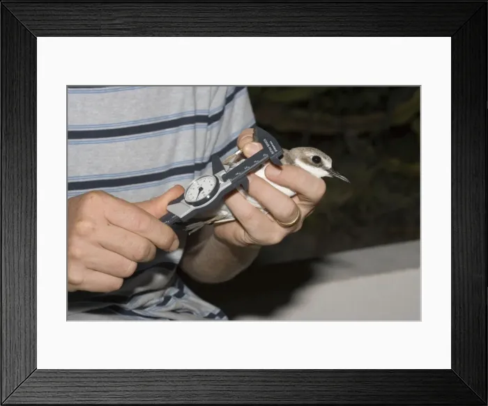 Framed Print : Picture No. 10863623 Framed Print : Picture No. 10863623