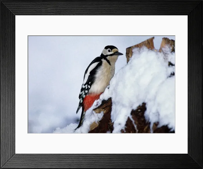 Framed Print : Picture No. 10863680 Framed Print : Picture No. 10863680