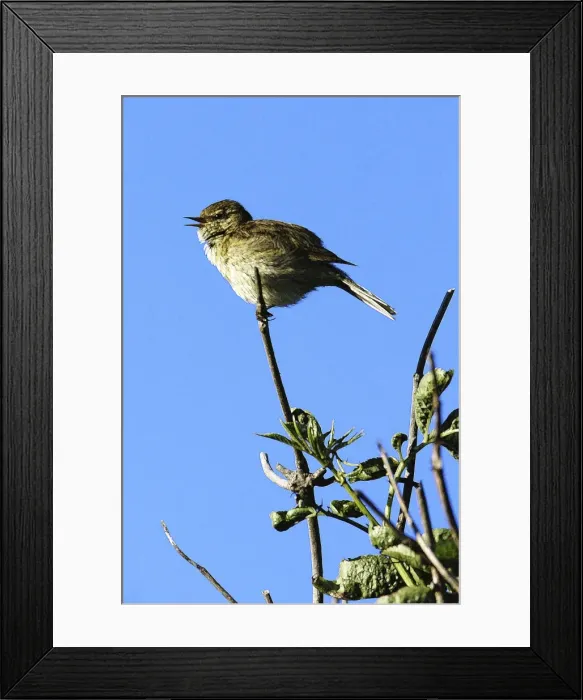 Framed Print : Picture No. 10863688 Framed Print : Picture No. 10863688