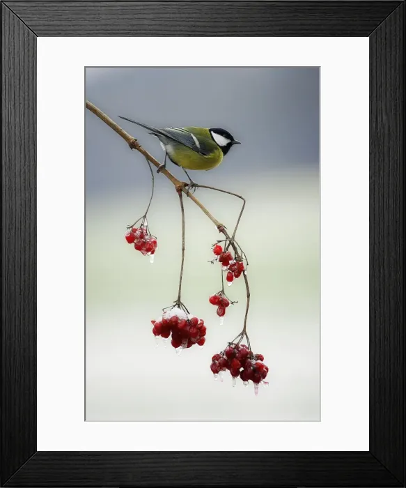 Framed Print : Picture No. 10863697 Framed Print : Picture No. 10863697