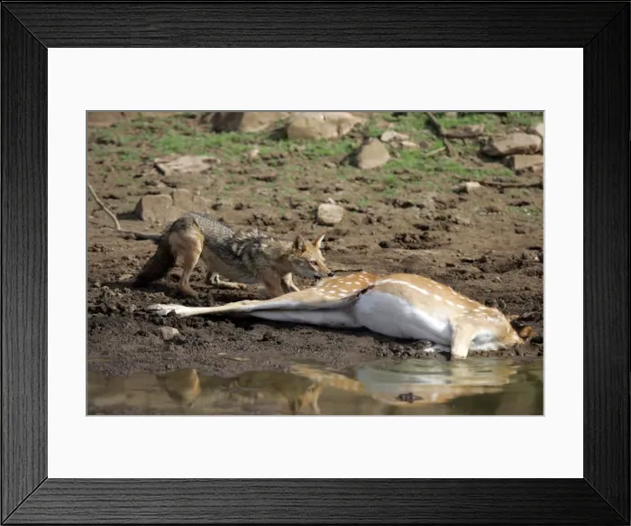 Framed Print : Picture No. 10863707 Framed Print : Picture No. 10863707