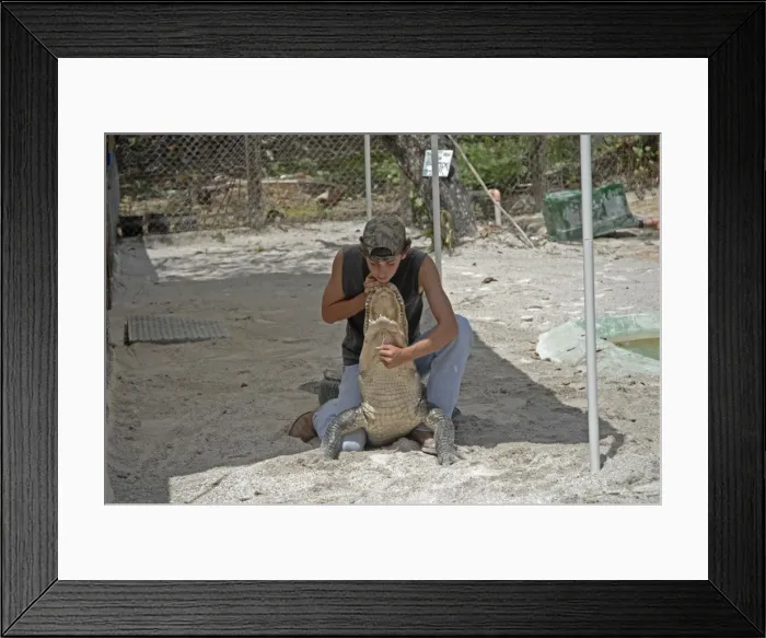 Framed Print : Picture No. 10863823 Framed Print : Picture No. 10863823