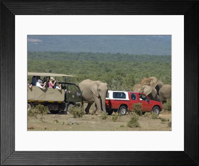 Framed Print : Picture No. 10863839 Framed Print : Picture No. 10863839