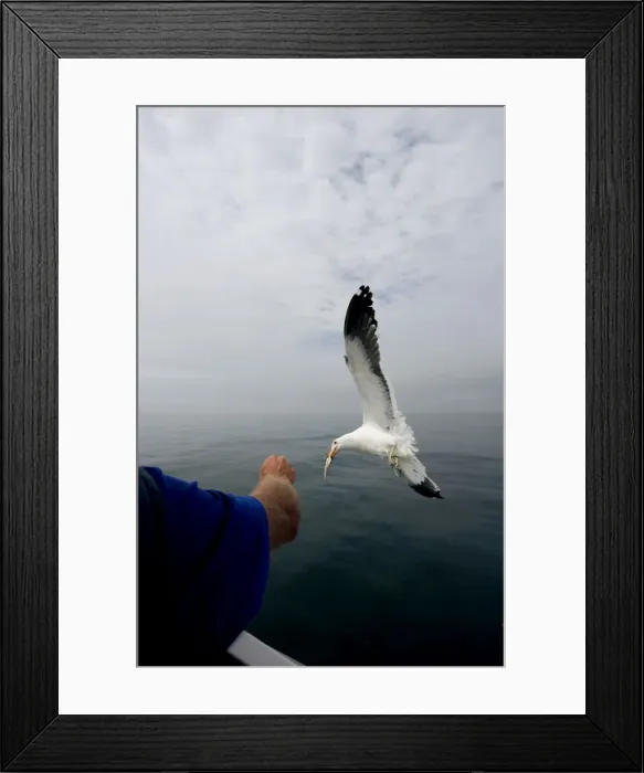 Framed Print : Picture No. 10863926 Framed Print : Picture No. 10863926