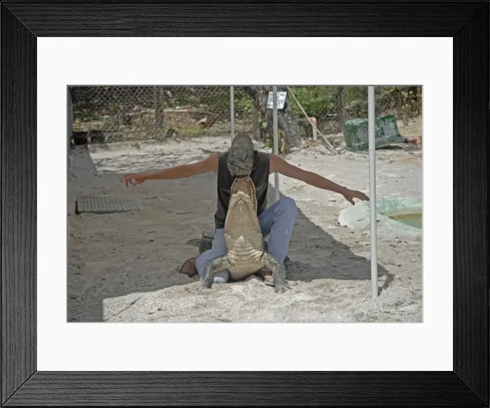 Framed Print : Picture No. 10863824 Framed Print : Picture No. 10863824