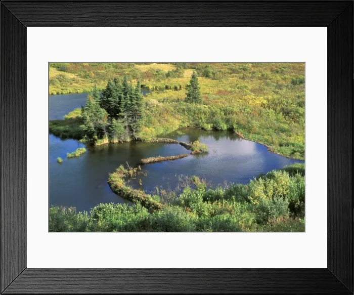Framed Print : Picture No. 10863945 Framed Print : Picture No. 10863945