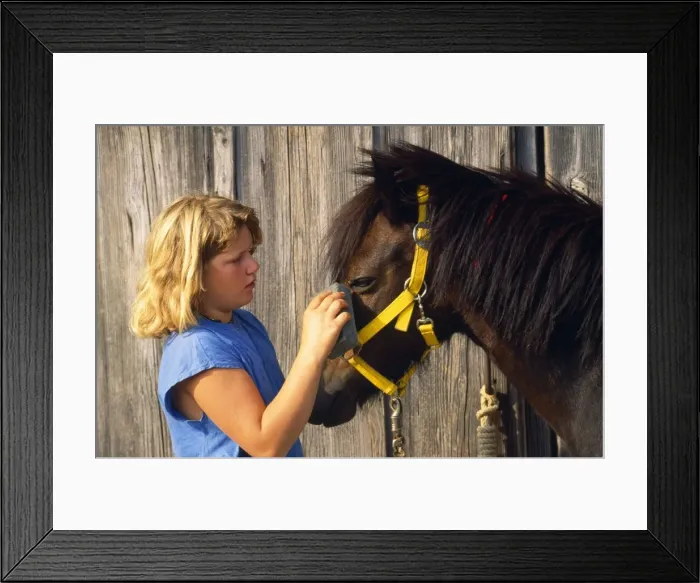 Framed Print : Picture No. 10864232 Framed Print : Picture No. 10864232