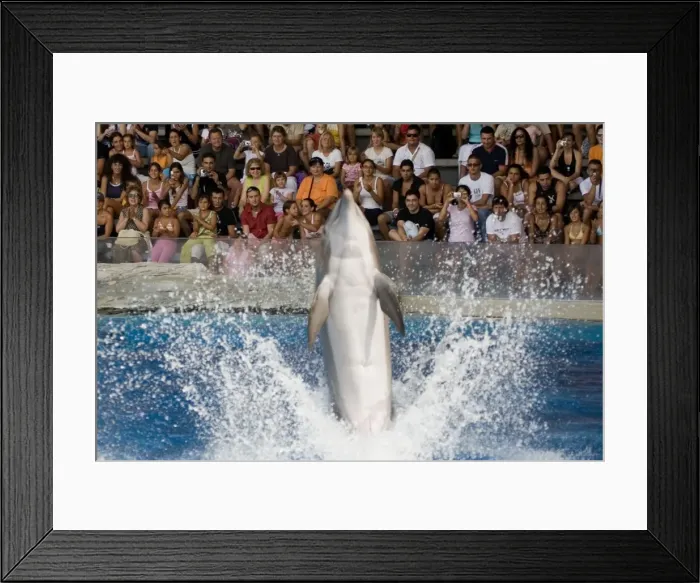 Framed Print : Picture No. 10864107 Framed Print : Picture No. 10864107