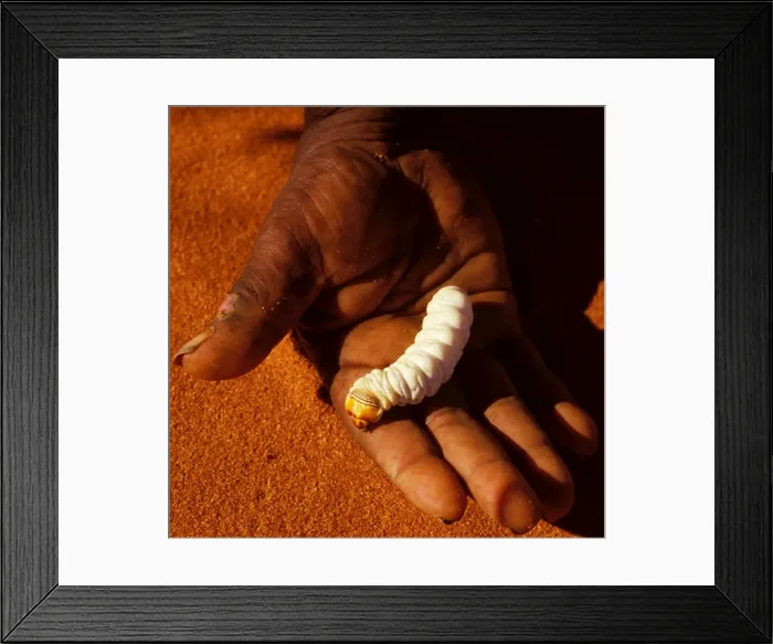 Framed Print : Picture No. 10864140 Framed Print : Picture No. 10864140