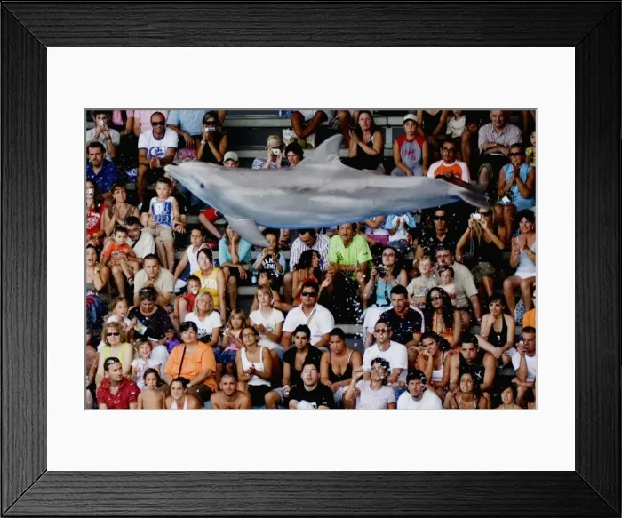 Framed Print : Picture No. 10864108 Framed Print : Picture No. 10864108