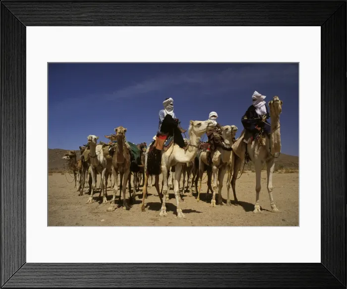 Framed Print : Picture No. 10864129 Framed Print : Picture No. 10864129