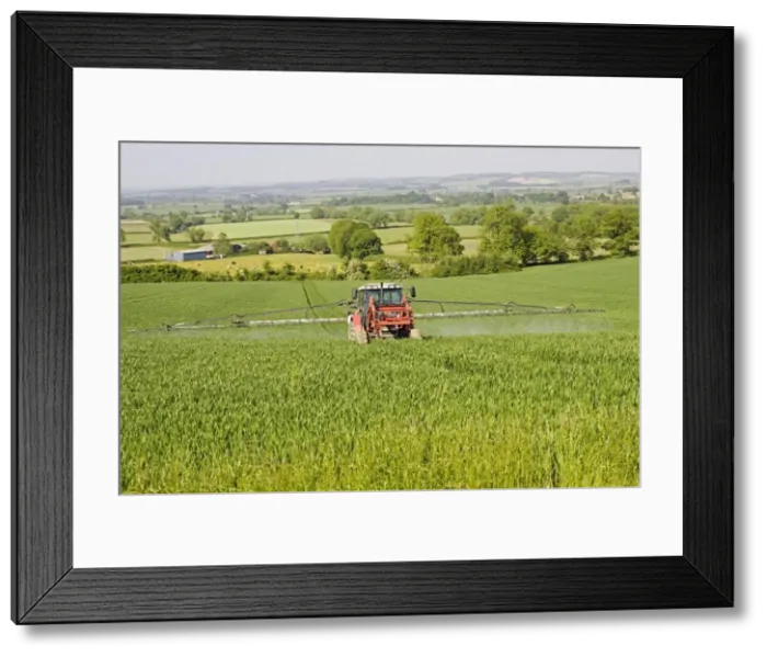 Framed Print : Picture No. 10864514 Framed Print : Picture No. 10864514