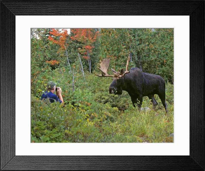 Framed Print : Picture No. 10864478