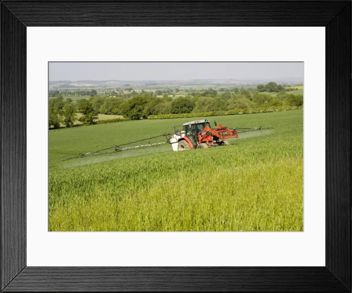 Framed Print : Picture No. 10864515 Framed Print : Picture No. 10864515
