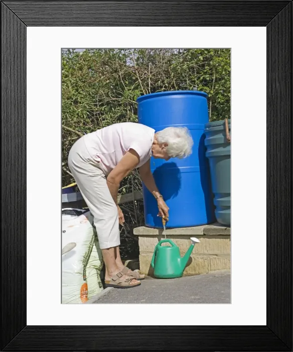 Framed Print : Picture No. 10864569 Framed Print : Picture No. 10864569
