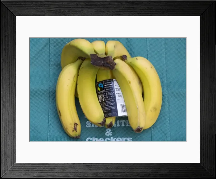 Framed Print : Picture No. 10864579 Framed Print : Picture No. 10864579