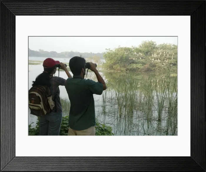 Framed Print : Picture No. 10864603 Framed Print : Picture No. 10864603