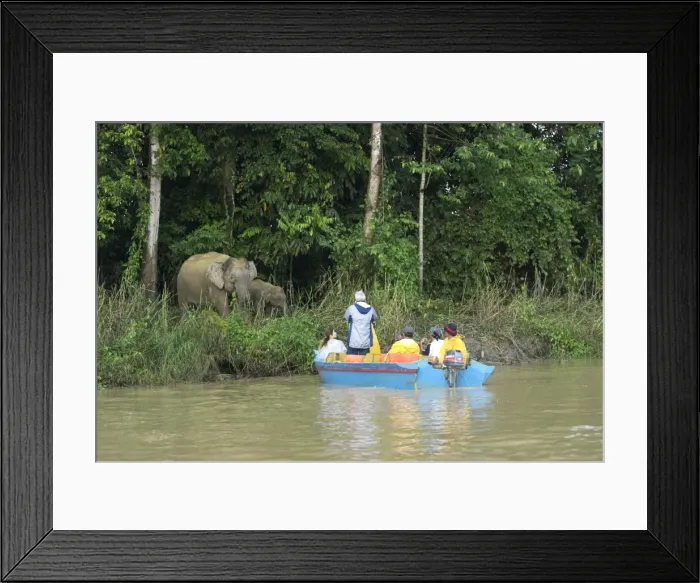 Framed Print : Picture No. 10864844 Framed Print : Picture No. 10864844
