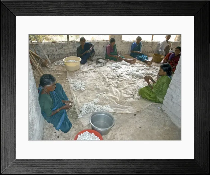 Framed Print : Picture No. 10864907 Framed Print : Picture No. 10864907