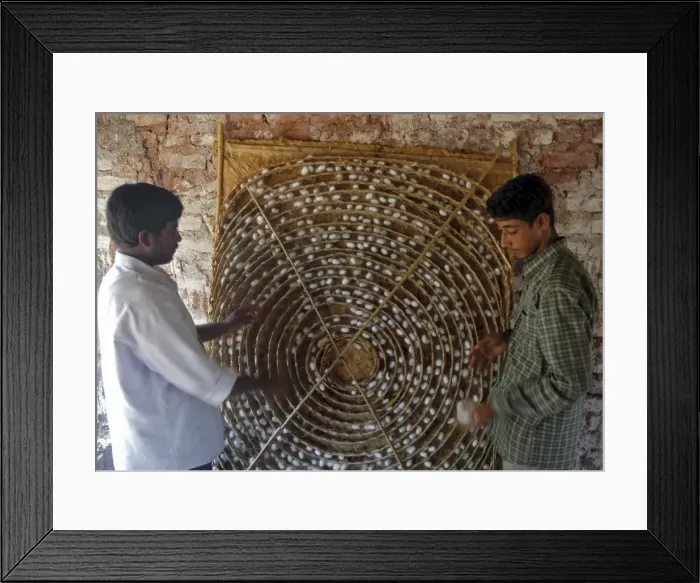 Framed Print : Picture No. 10864909 Framed Print : Picture No. 10864909