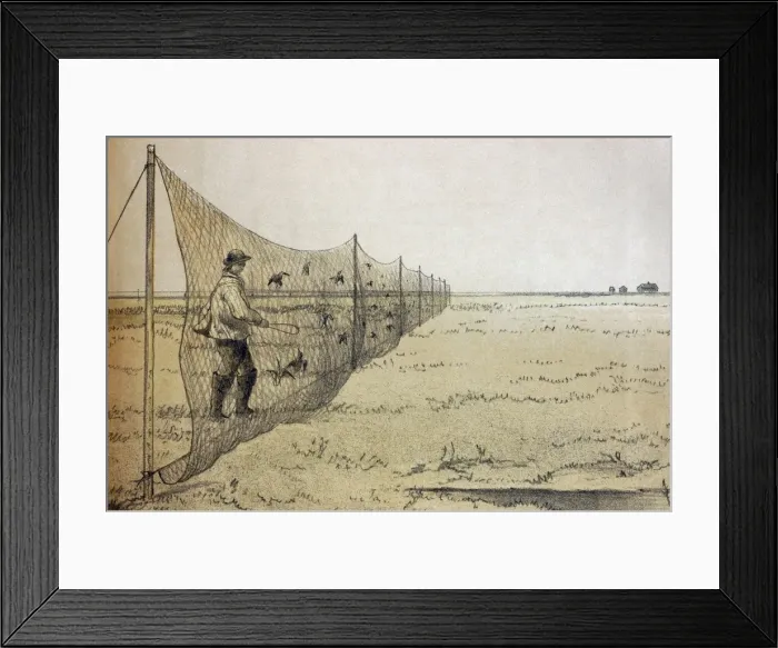 Framed Print : Picture No. 10864947 Framed Print : Picture No. 10864947