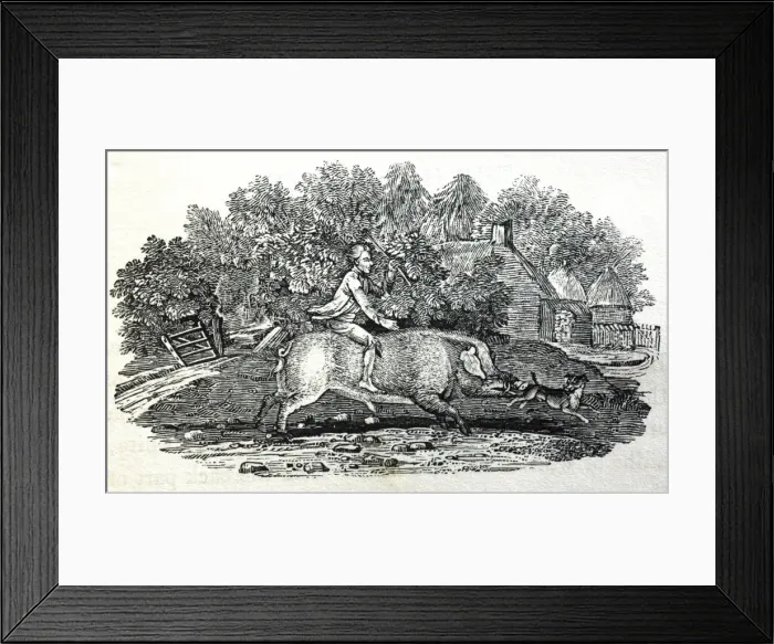 Framed Print : Picture No. 10864943 Framed Print : Picture No. 10864943