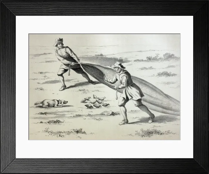 Framed Print : Picture No. 10864948 Framed Print : Picture No. 10864948