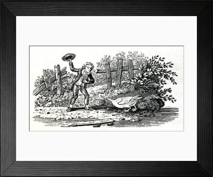 Framed Print : Picture No. 10864944